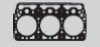 GASKET FOR FIAT Series 300 10127400(X2) 